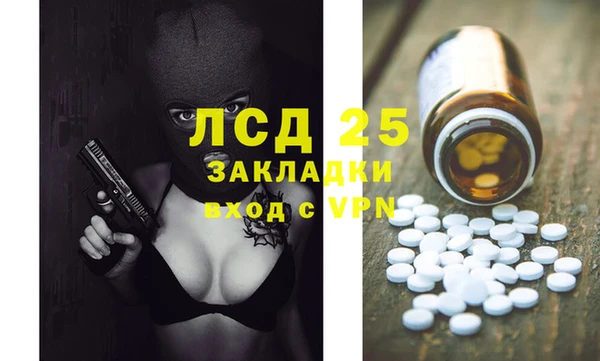 молекула духа Михайлов