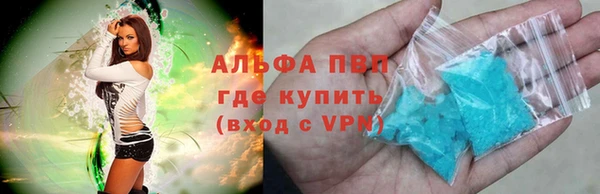 молекула духа Михайлов