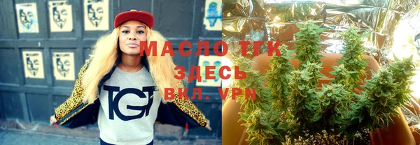 молекула духа Михайлов