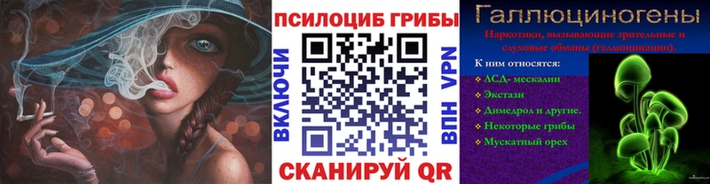 как найти   Таганрог  Галлюциногенные грибы MAGIC MUSHROOMS 